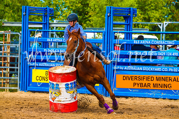 BraidwoodRodeo2017_1137