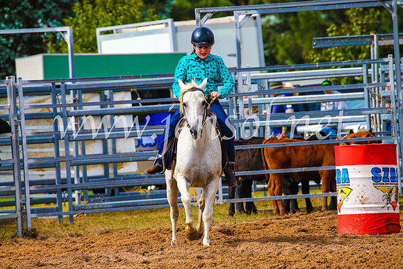 BraidwoodRodeo2017_1078