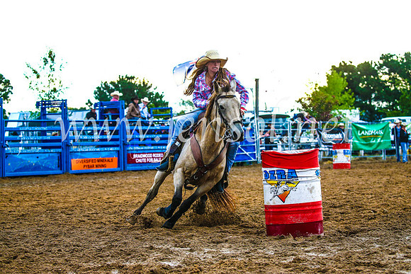 BraidwoodRodeo2017_3328