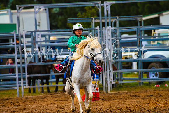 BraidwoodRodeo2017_1222