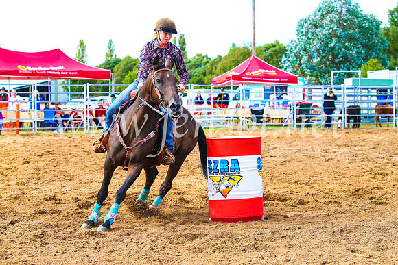 BraidwoodRodeo2017_0802
