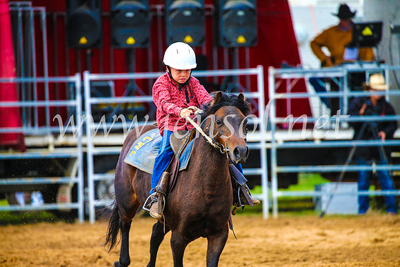 BraidwoodRodeo2017_1208