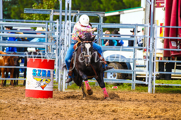 BraidwoodRodeo2017_0824