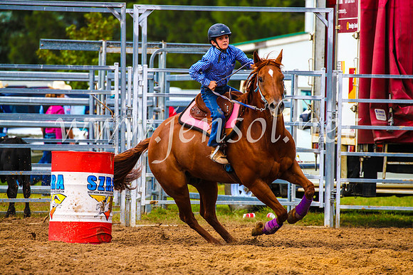 BraidwoodRodeo2017_1138