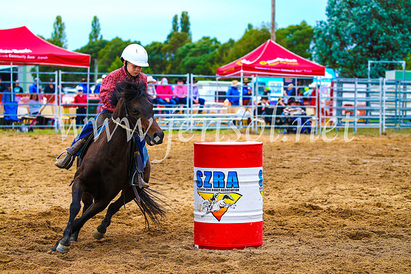 BraidwoodRodeo2017_1353