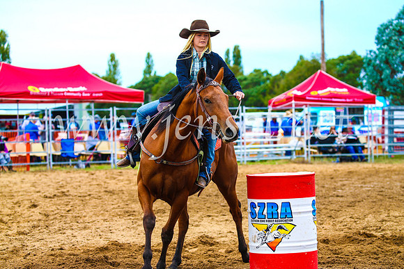 BraidwoodRodeo2017_1320