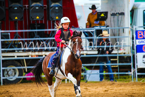 BraidwoodRodeo2017_1306