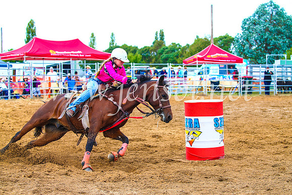 BraidwoodRodeo2017_0650
