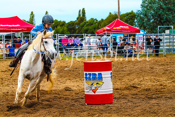 BraidwoodRodeo2017_1251