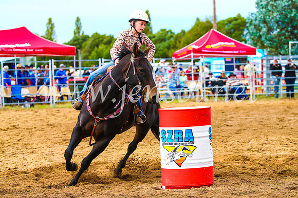 BraidwoodRodeo2017_1149