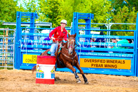 BraidwoodRodeo2017_0675