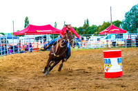 BraidwoodRodeo2017_0624
