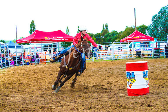 BraidwoodRodeo2017_0624
