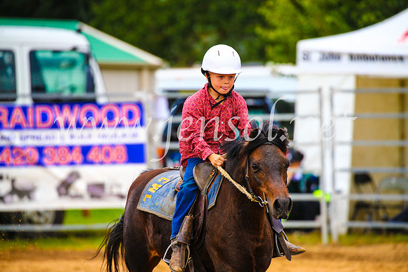 BraidwoodRodeo2017_1359