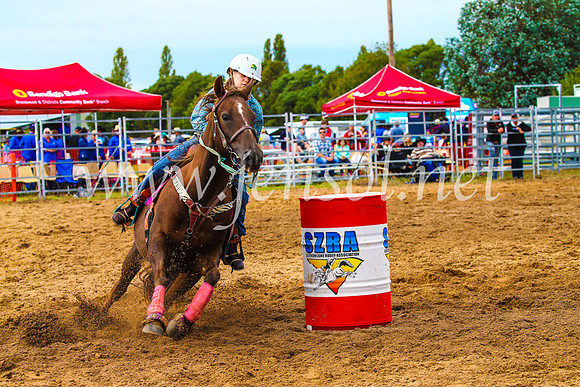 BraidwoodRodeo2017_1163