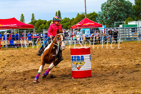 BraidwoodRodeo2017_1110