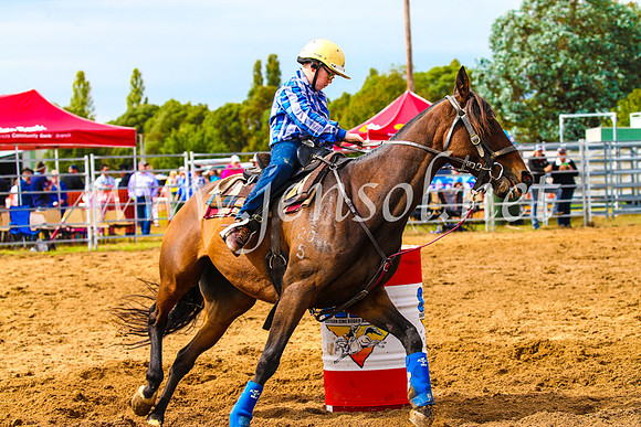BraidwoodRodeo2017_1092