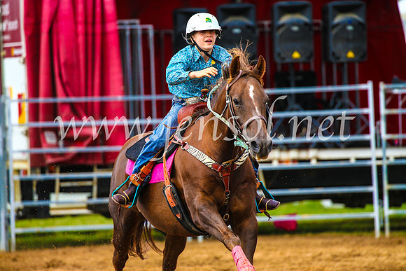 BraidwoodRodeo2017_1180