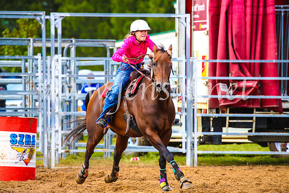 BraidwoodRodeo2017_0958