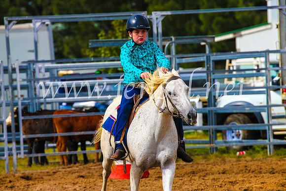 BraidwoodRodeo2017_1082