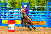 BraidwoodRodeo2017_0667