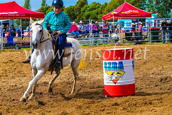 BraidwoodRodeo2017_1073