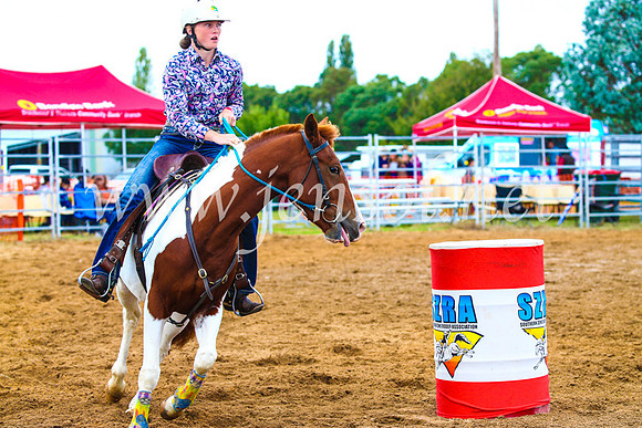 BraidwoodRodeo2017_0631