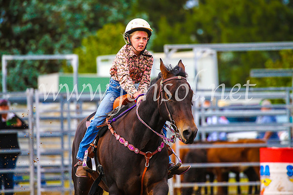 BraidwoodRodeo2017_1158