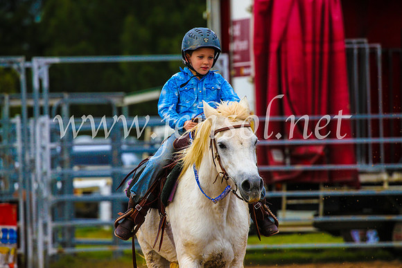 BraidwoodRodeo2017_1260