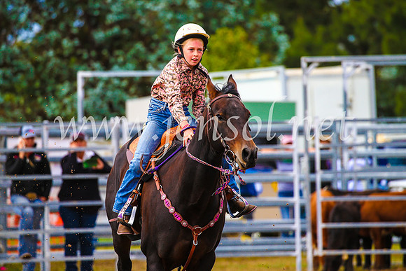 BraidwoodRodeo2017_1155