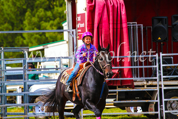 BraidwoodRodeo2017_1106
