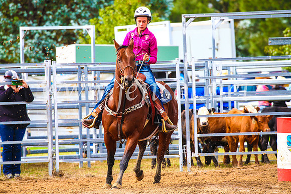 BraidwoodRodeo2017_0810