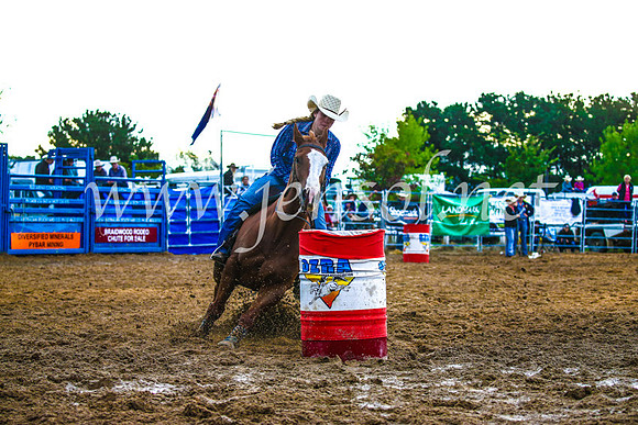 BraidwoodRodeo2017_3415