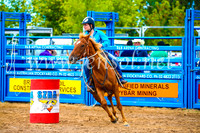 BraidwoodRodeo2017_0588