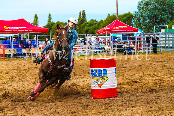 BraidwoodRodeo2017_1165