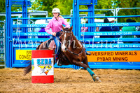 BraidwoodRodeo2017_0610