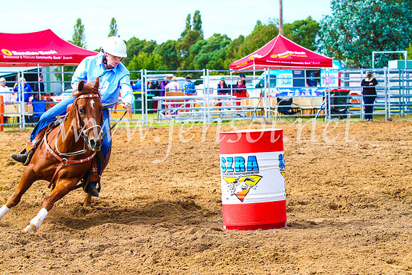 BraidwoodRodeo2017_0781