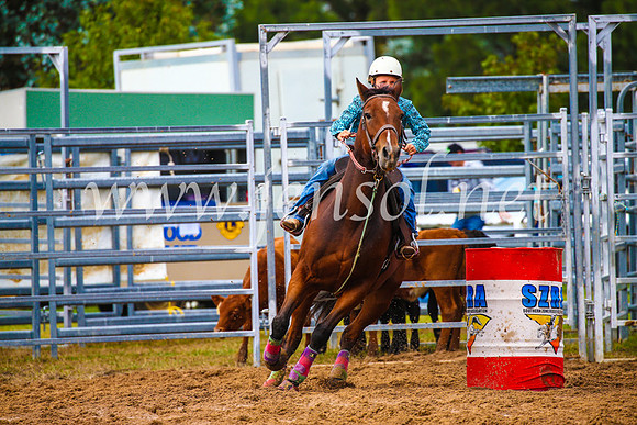 BraidwoodRodeo2017_1189