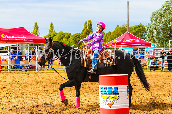BraidwoodRodeo2017_1101