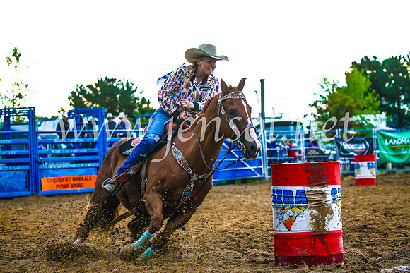 BraidwoodRodeo2017_3427