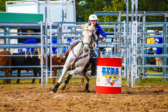 BraidwoodRodeo2017_0910