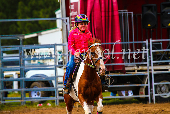 BraidwoodRodeo2017_1126