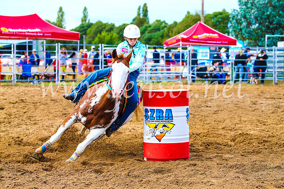 BraidwoodRodeo2017_0971