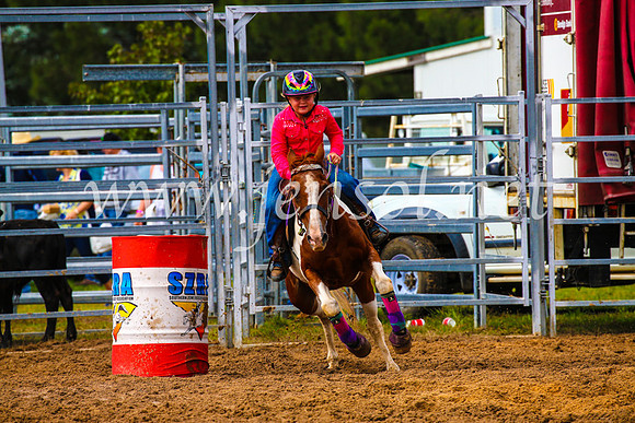 BraidwoodRodeo2017_1120