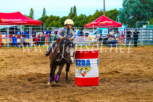 BraidwoodRodeo2017_1266