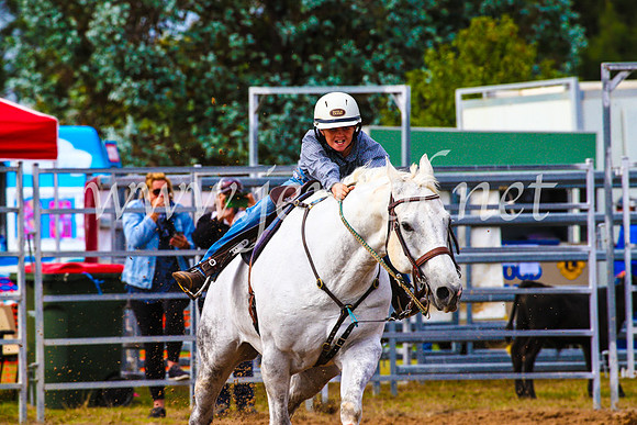 BraidwoodRodeo2017_0860