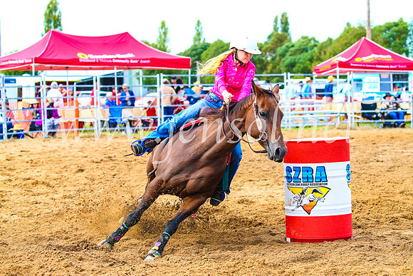 BraidwoodRodeo2017_0931