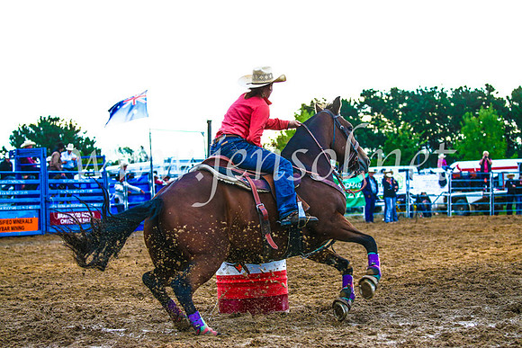 BraidwoodRodeo2017_3308