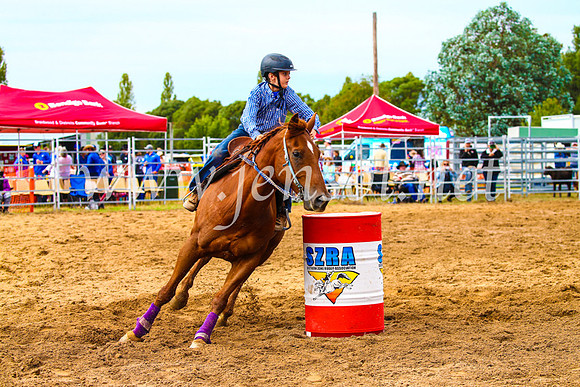 BraidwoodRodeo2017_1131