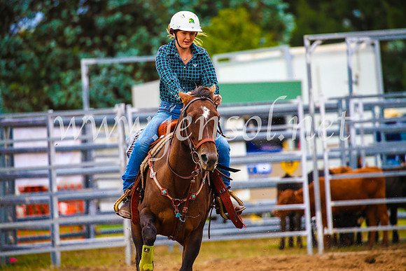 BraidwoodRodeo2017_1346